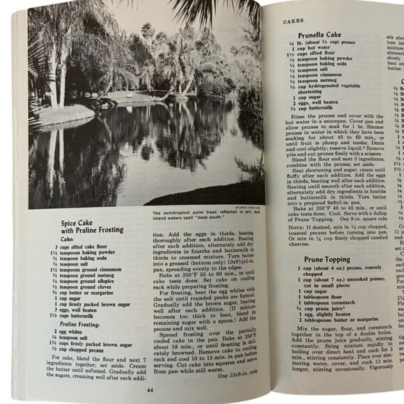The Southern Cookbook 250 Fine Old Recipes Culinary Arts Press Paperback 1976 - Picture 8 of 9